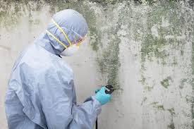 Best Mold Odor Removal Services in La Center, WA